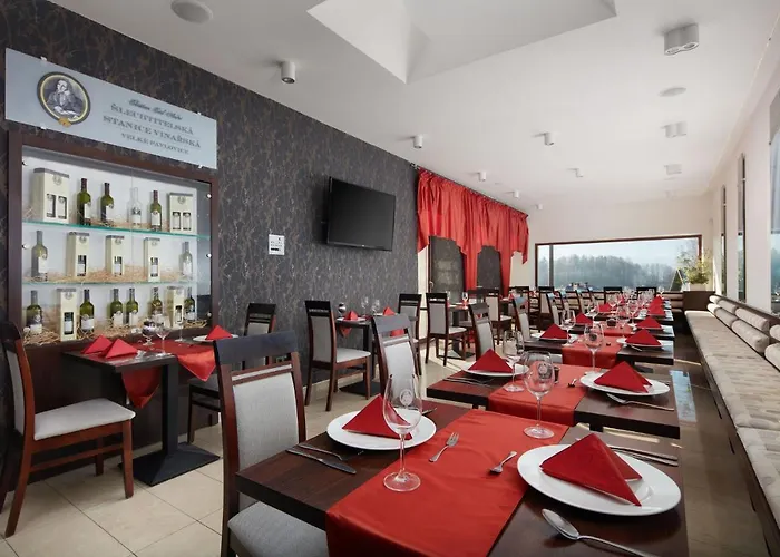 Hotell Slunny Dvur 3*